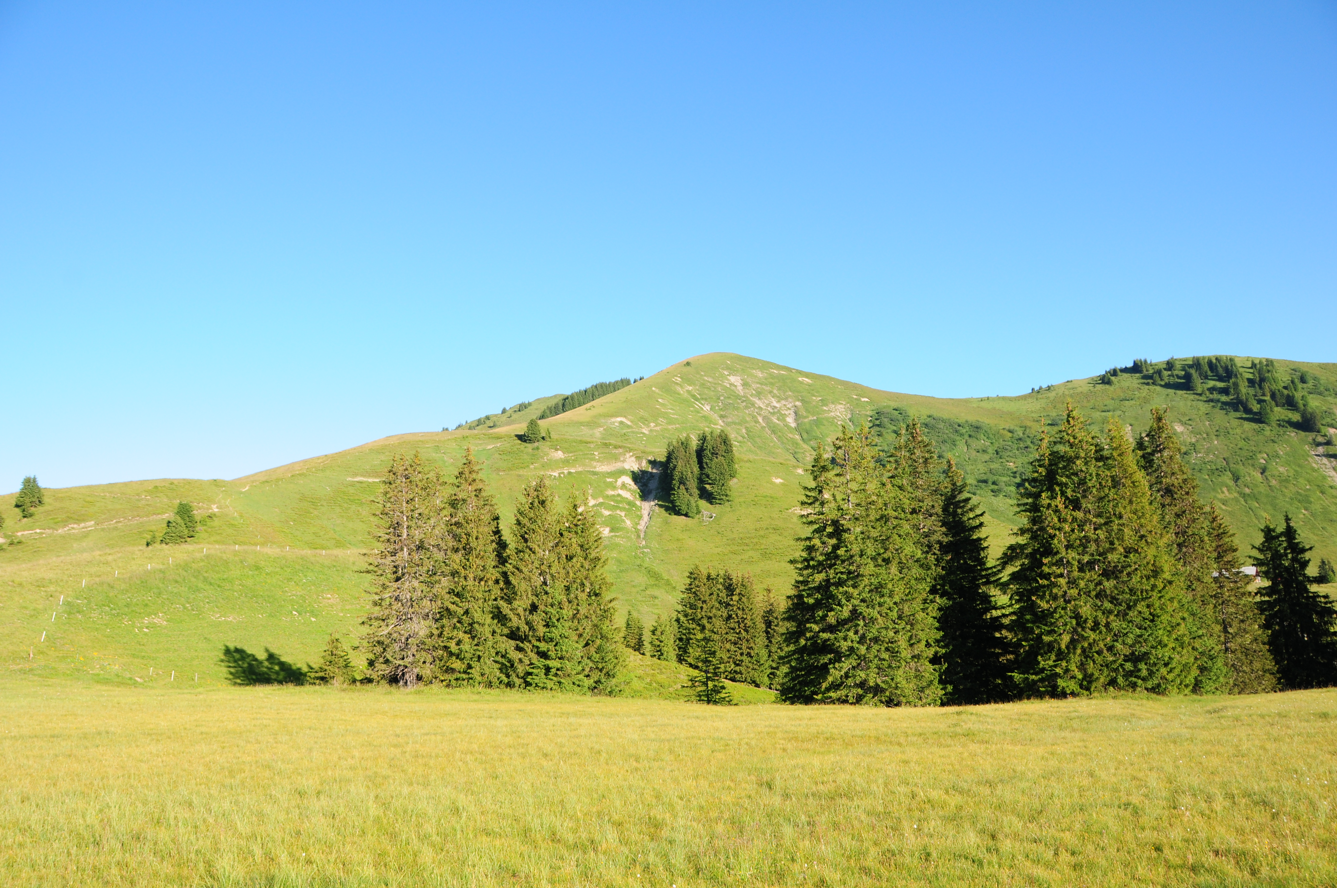 Landschaft