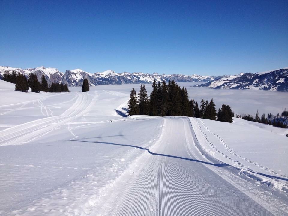 Winterwandern