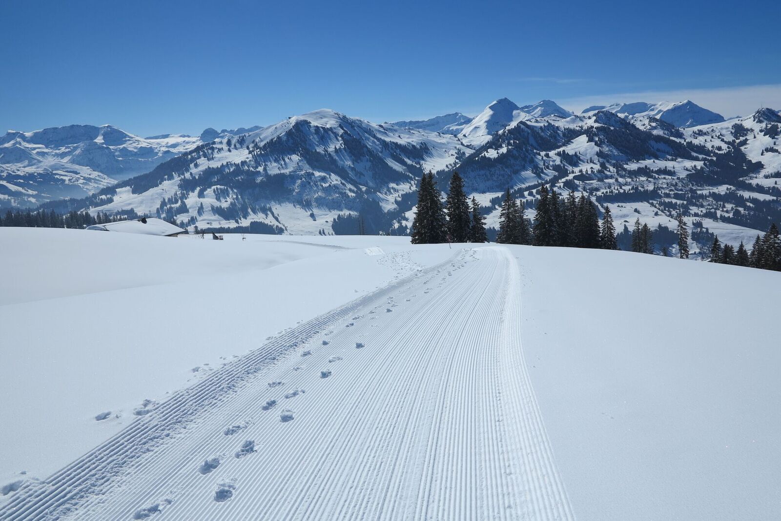 Winterwandern