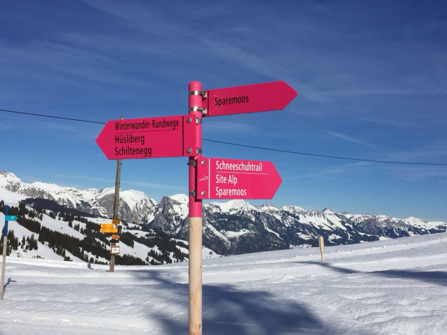 Winterwandern